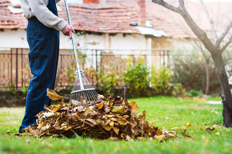 Efficient Leaf Raking