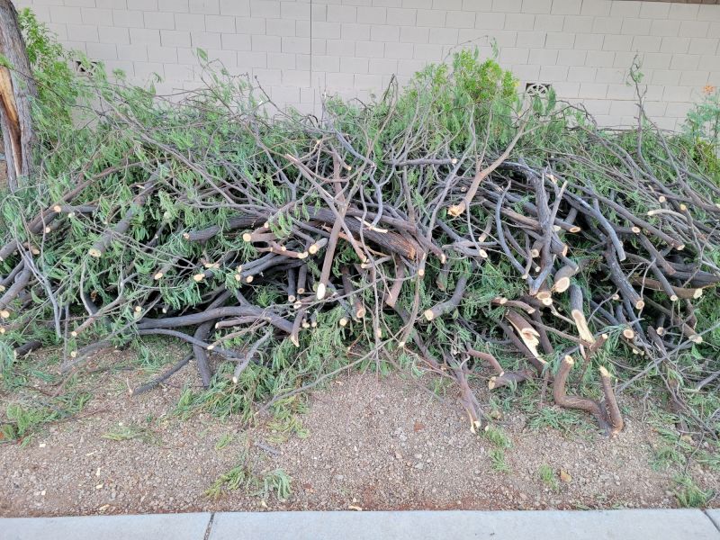 Collected Tree Trimmings
