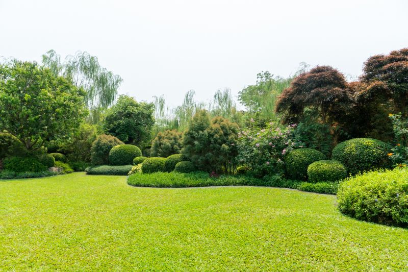 Lawn and Landscape with Trimmed Shrubs