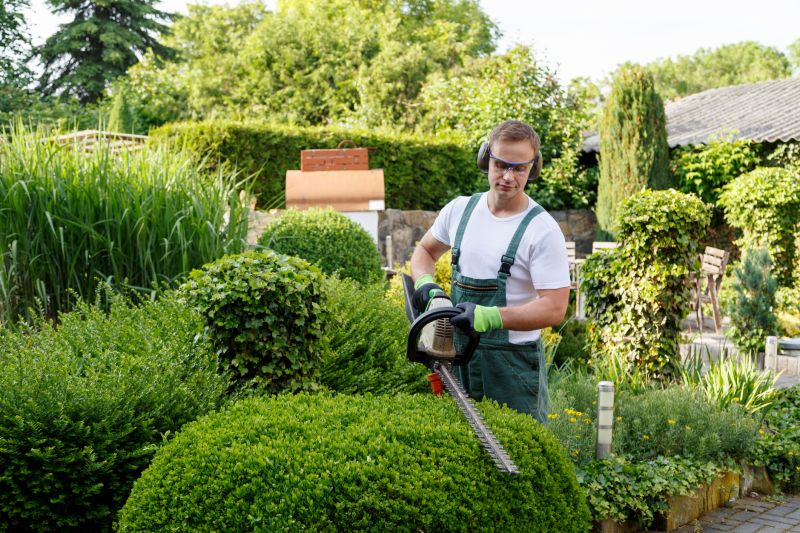 Professional Garden Maintenance Teams